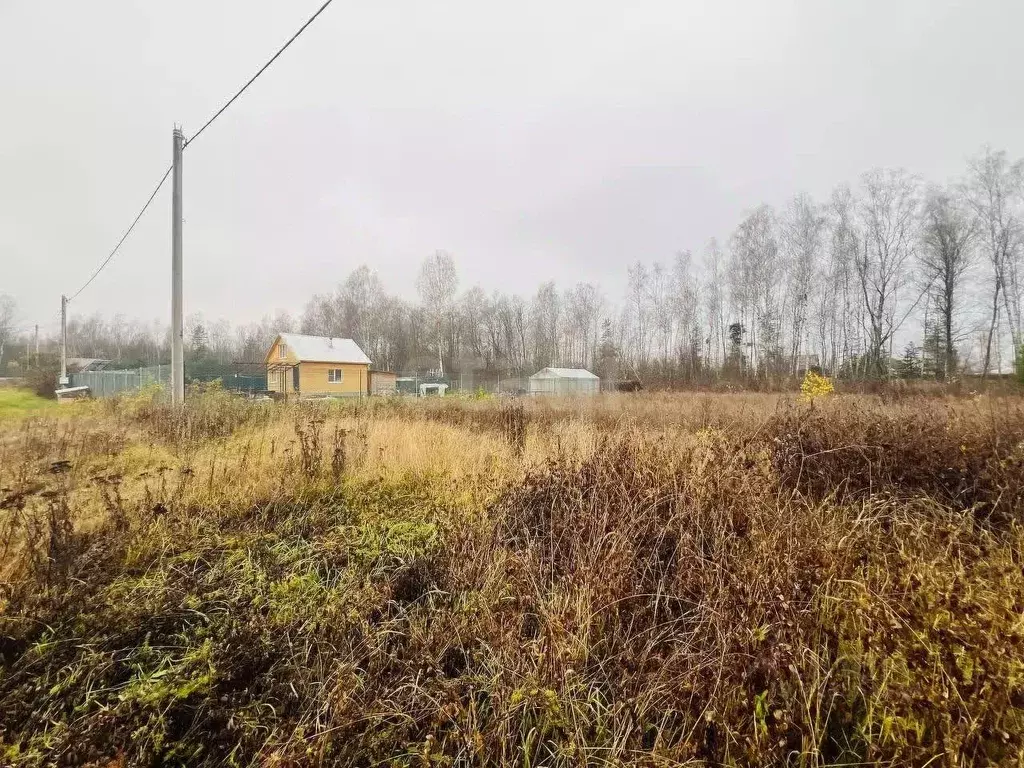 Участок в Владимирская область, Петушинский муниципальный округ, ... - Фото 2