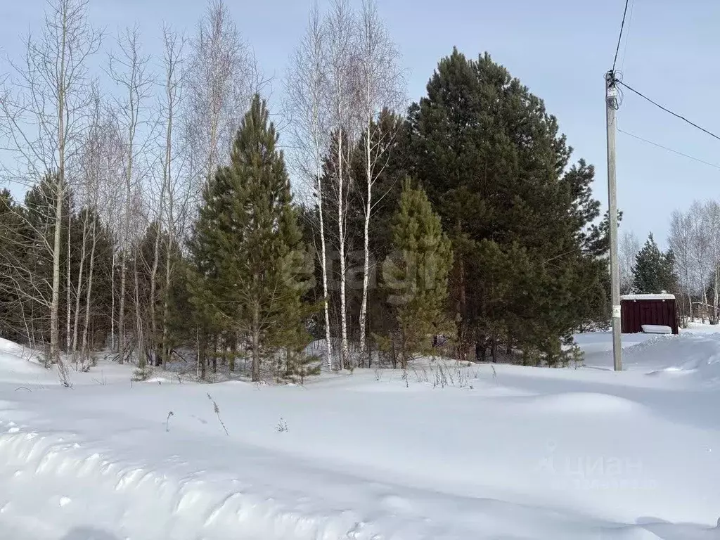 Участок в Тюменская область, с. Нижняя Тавда ул. Некрасова, 7 (10.0 ... - Фото 2