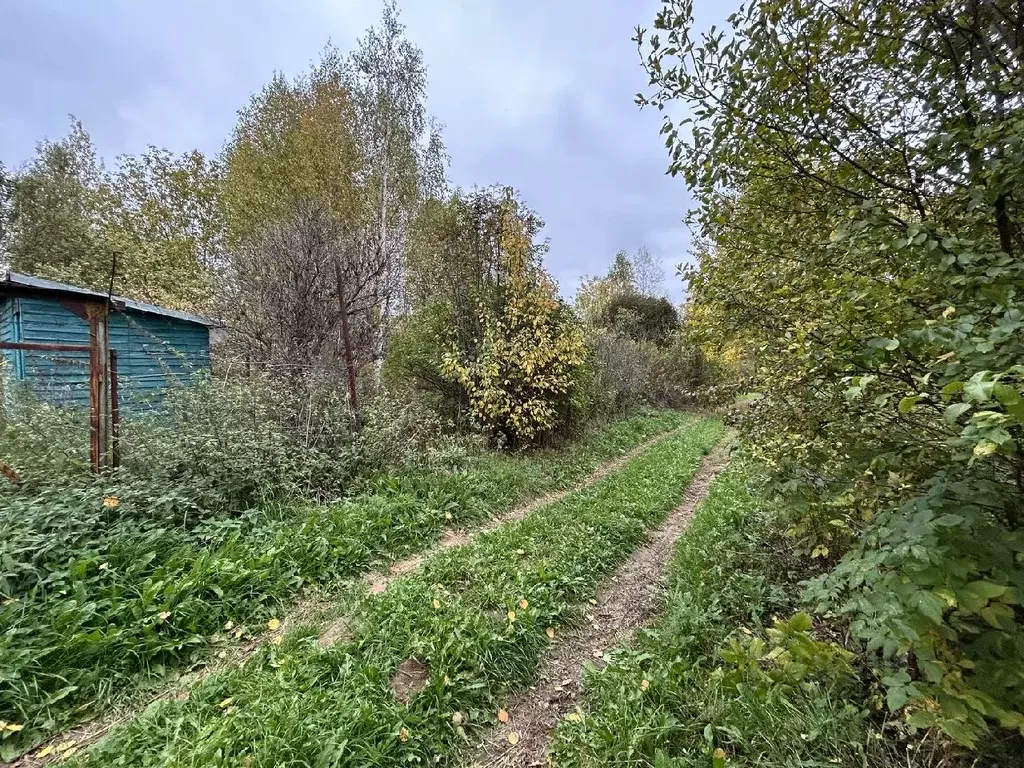 Участок в Владимирская область, Александров Марино СНТ,  (6.0 сот.) - Фото 1