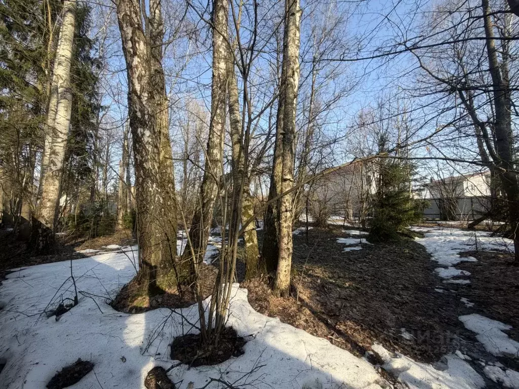 Участок в Московская область, Лобня Луговая мкр, Кольцевая ул. (5.7 ... - Фото 2