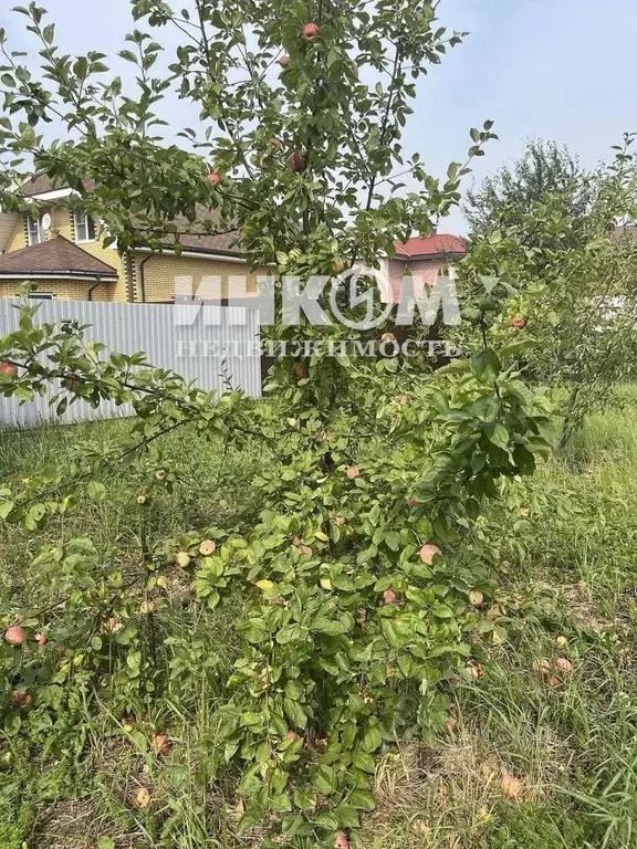 Участок в Московская область, Щелково городской округ, Лосиный ... - Фото 1