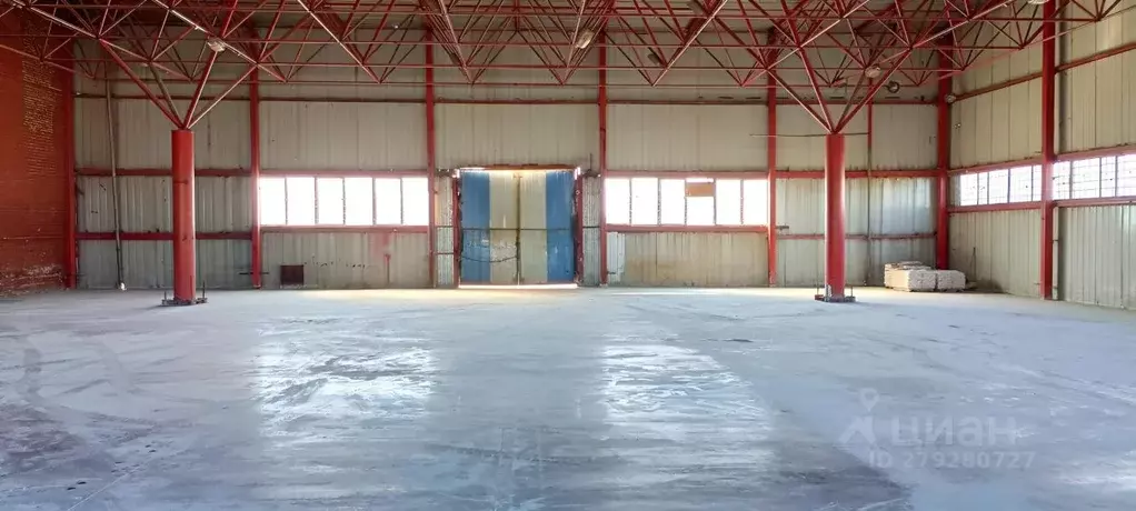 Помещение свободного назначения в Курганская область, Курган просп. ... - Фото 1