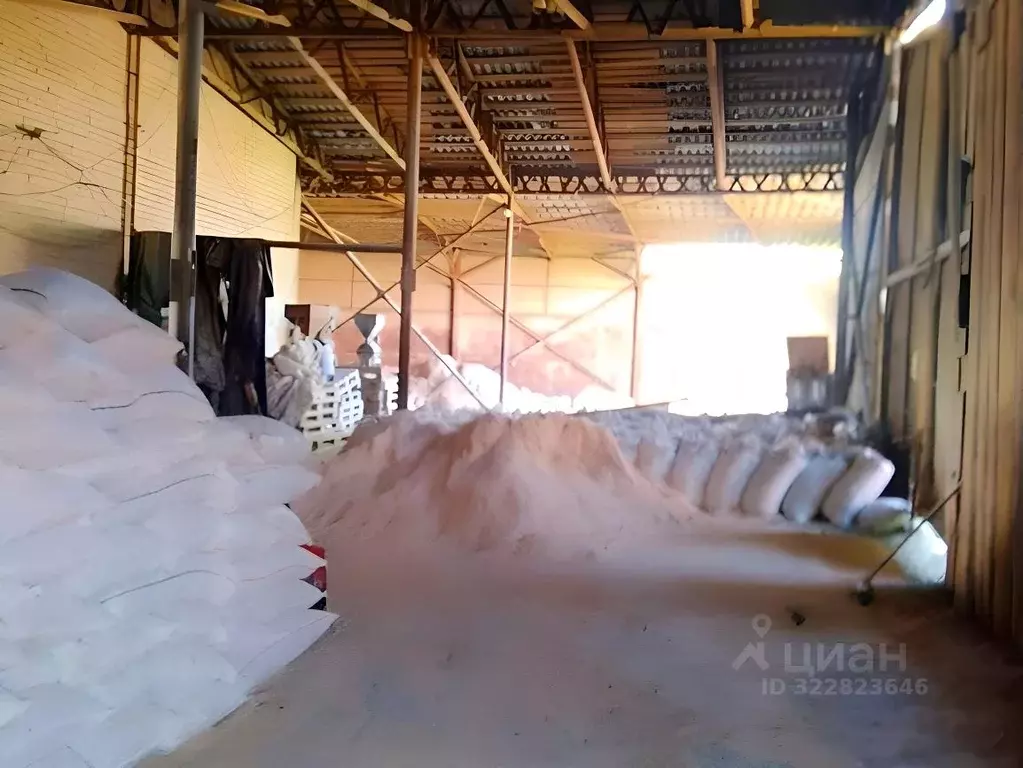 Склад в Омская область, Омск ул. 2-я Казахстанская, 1 (70 м) - Фото 2