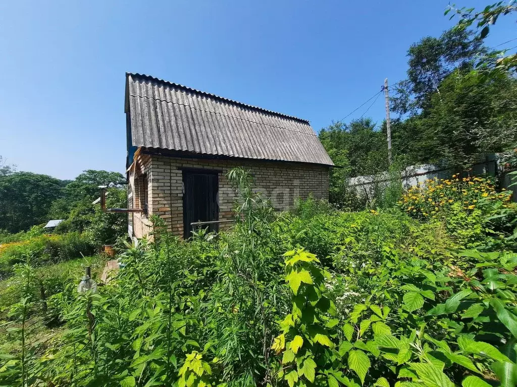 Купить Дачу В Кипарисово Приморского Края