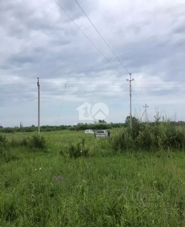 Участок в Новосибирская область, Колыванский район, Пять озер СНТ ... - Фото 2