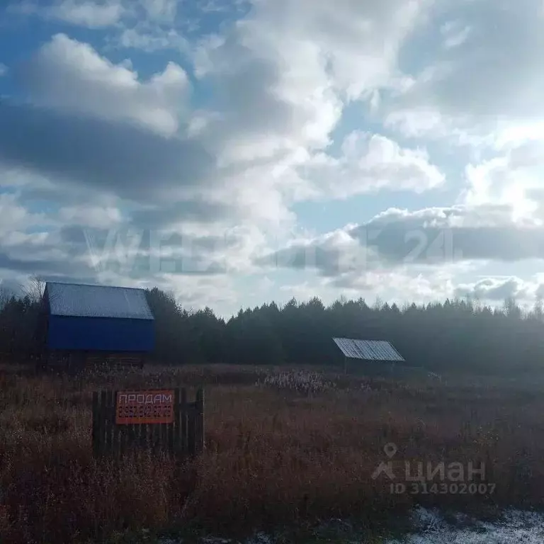 Участок в Пермский край, Ильинский городской округ, д. Шаврята  (33.0 ... - Фото 1