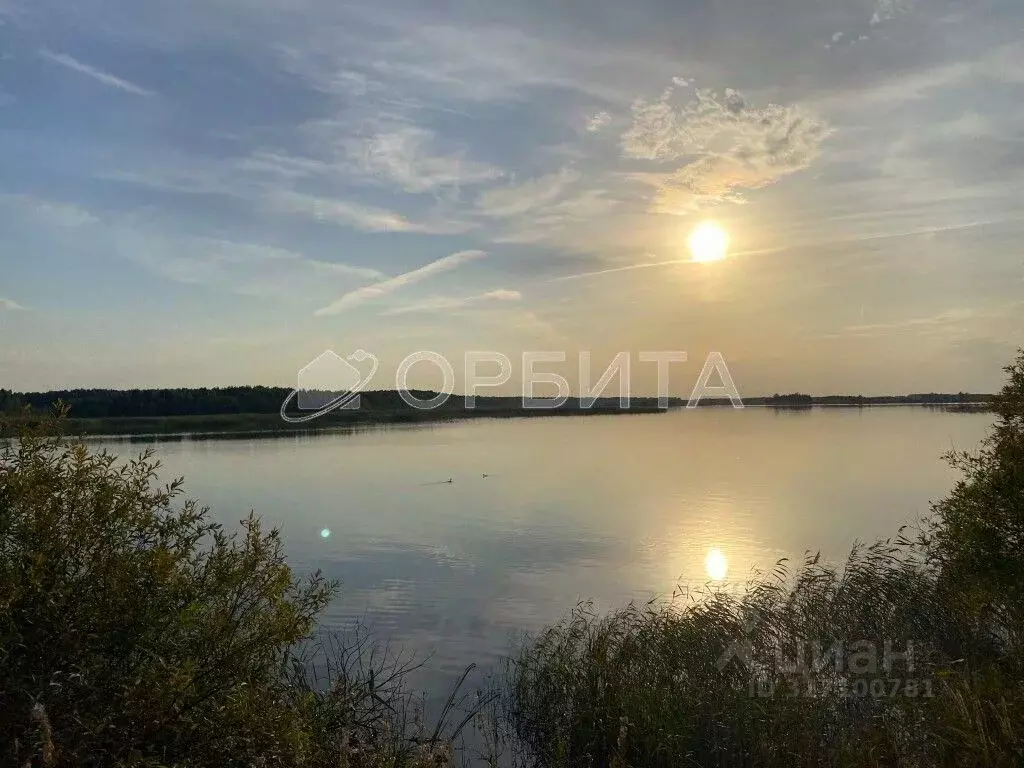 Участок в Тюменская область, Тюменский муниципальный округ, Архип ... - Фото 1