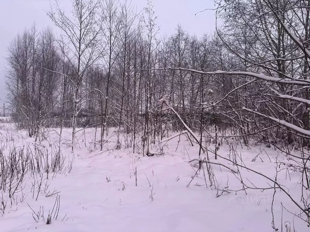 Участок в Московская область, Можайский муниципальный округ, д. ... - Фото 2