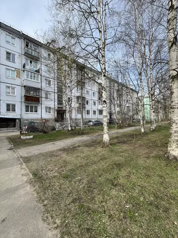 3-к. квартира, 60 м, 4/5 эт. - Фото 0