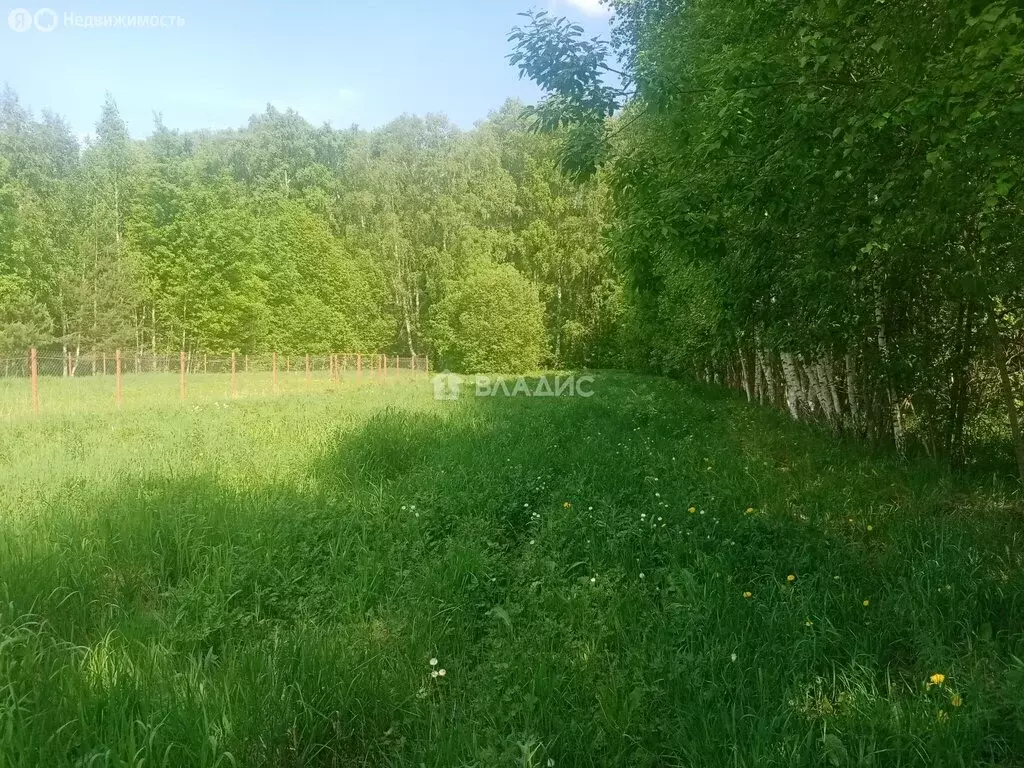 Участок в Московская область, городской округ Коломна, село Шеметово ... - Фото 2