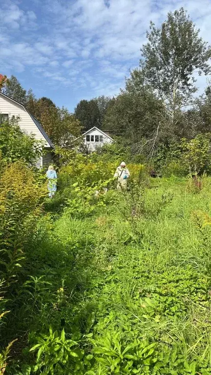 Дом в Московская область, Клин городской округ, д. Залесье 36 (74 м) - Фото 1