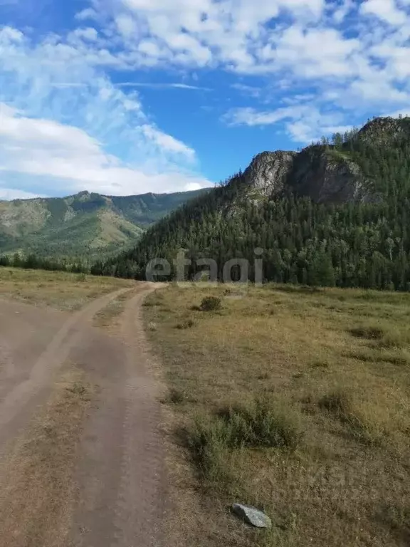 Участок в Алтай, Горно-Алтайск пер. Светлый (15.0 сот.) - Фото 1