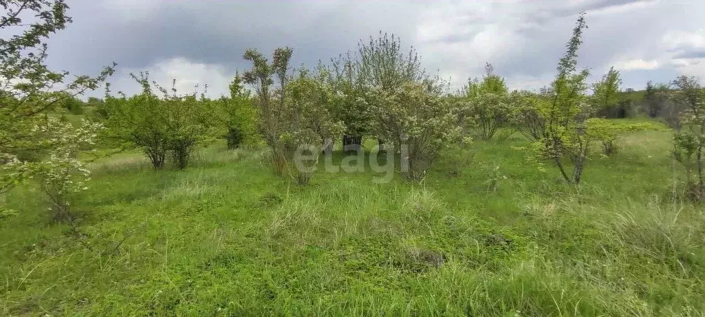 Участок в Воронежская область, Рамонский район, Русскогвоздевское ... - Фото 1