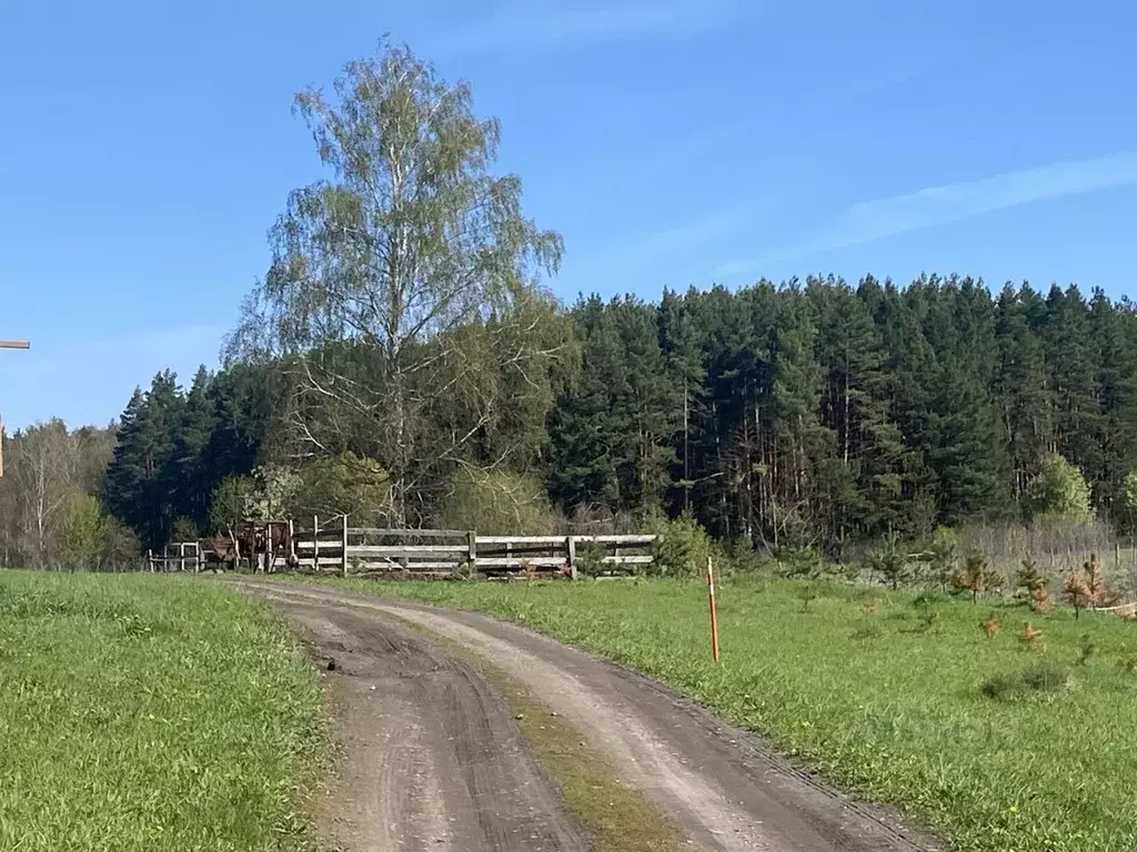 Участок в Московская область, Коломна городской округ, д. Конев-Бор ... - Фото 0