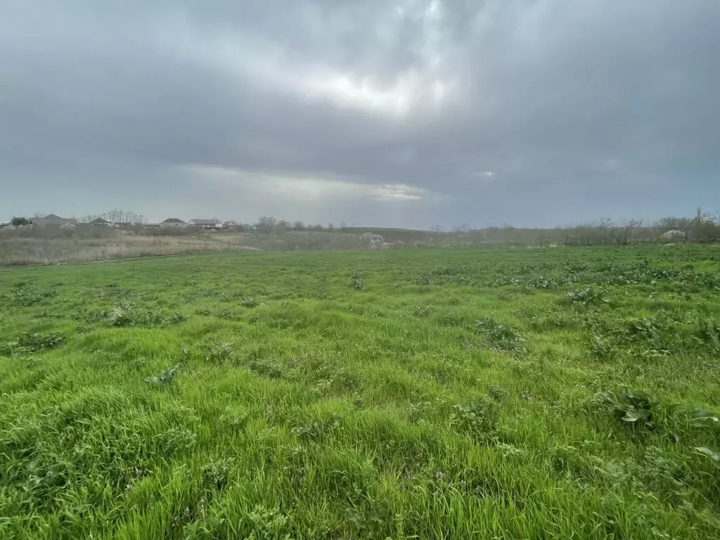 Участок в Краснодарский край, Кавказский район, Казанская ст-ца ... - Фото 1