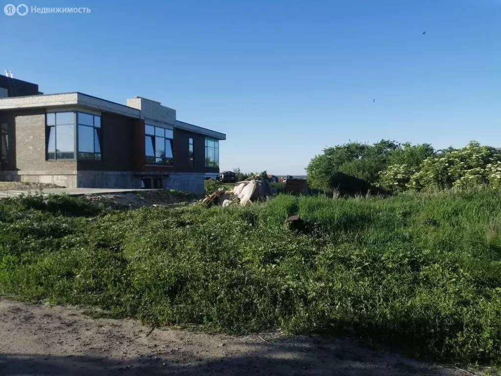 Участок в Рамонский район, Берёзовское сельское поселение, село ... - Фото 2