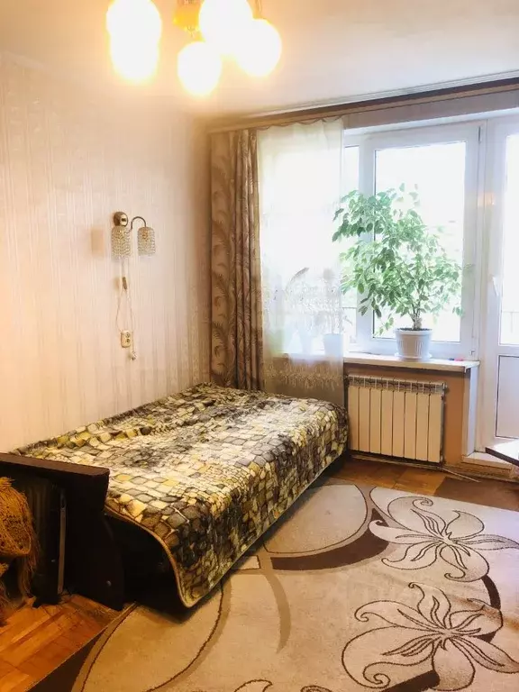 1-к кв. Санкт-Петербург Тимуровская ул., 10К1 (29.3 м) - Фото 1