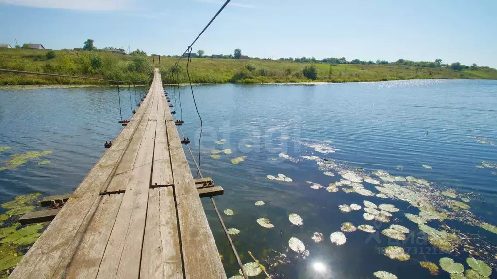Участок в Орловская область, Свердловский район, Богодуховское с/пос, ... - Фото 1