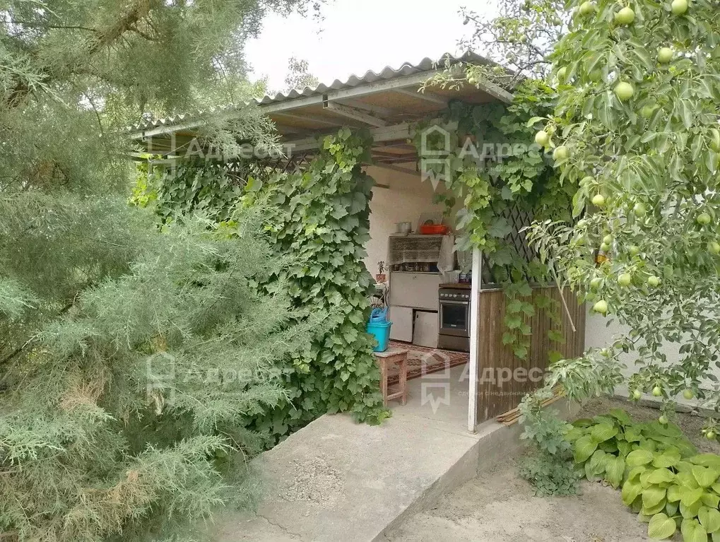 Дом в Волгоградская область, Волгоград Восход СНТ,  (65 м) - Фото 1