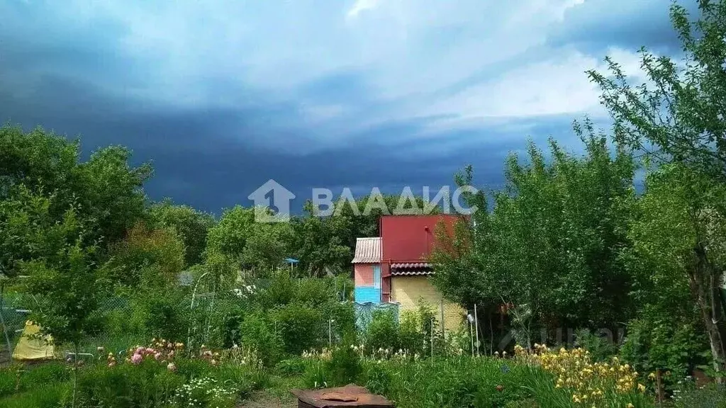 Участок в Воронежская область, Семилукское с/пос, Ветеран СДТ 8-я ... - Фото 0