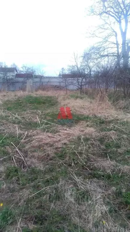 Участок в Ярославская область, Тутаев ул. Панина (12.0 сот.) - Фото 1