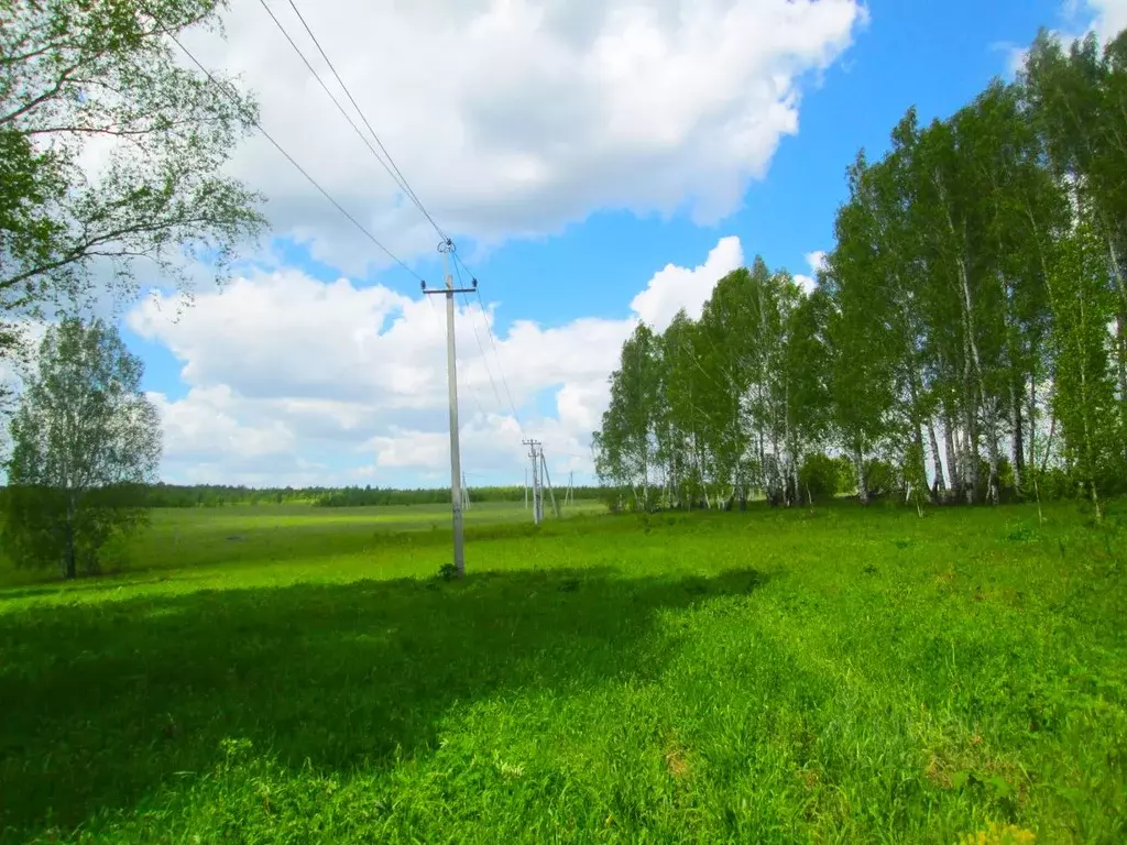 Участок в Кемеровская область, Кемеровский муниципальный округ, д. ... - Фото 1