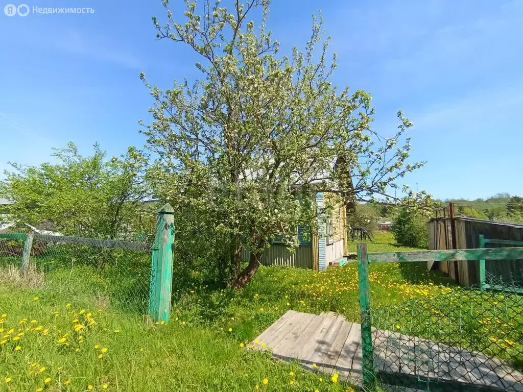 Дом в Череповецкий район, муниципальное образование Югское, СНТ Родник ... - Фото 1