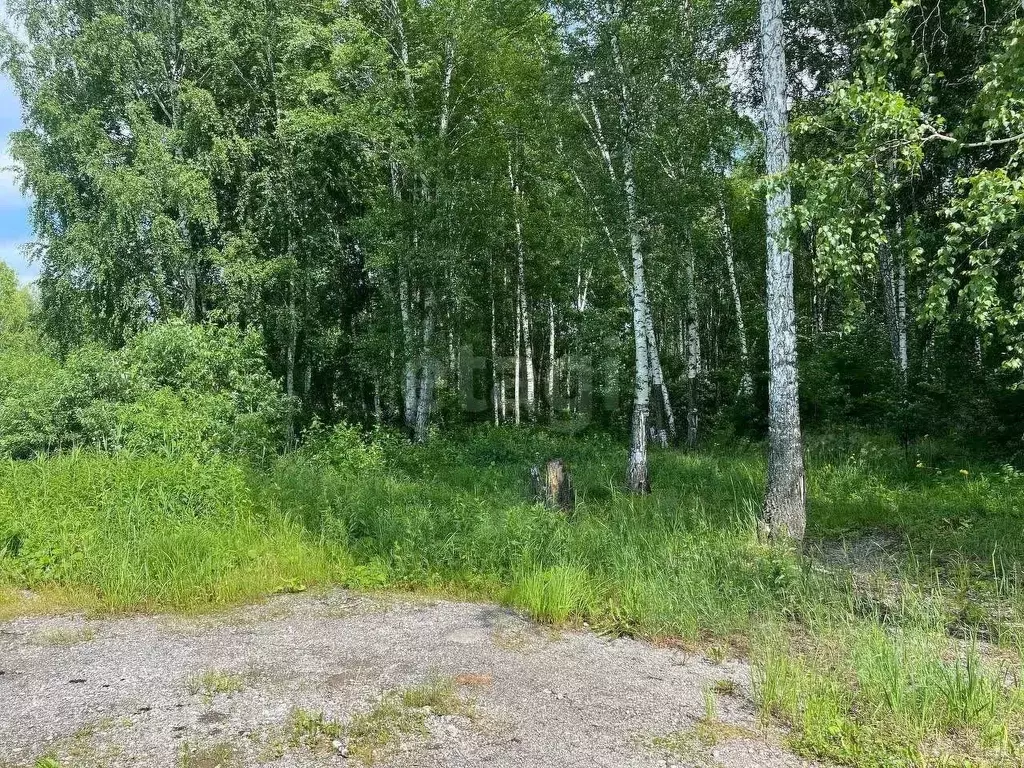 Участок в Тюменская область, Нижнетавдинский муниципальный округ, ... - Фото 1