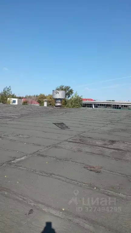 Помещение свободного назначения в Омская область, Омск ул. 10 лет ... - Фото 1