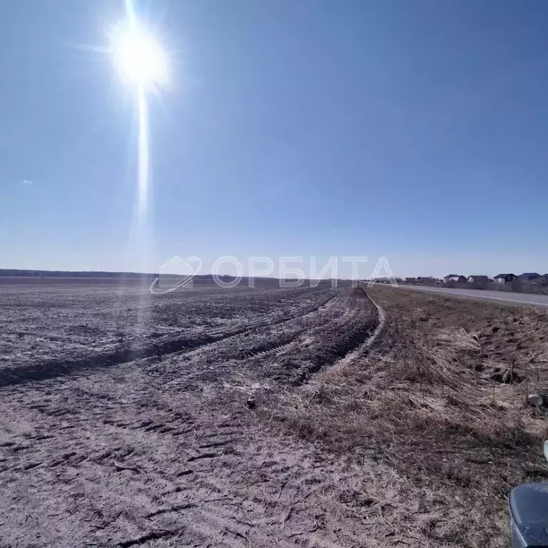 Участок в Тюменская область, Тюменский муниципальный округ, с. Чикча  ... - Фото 1