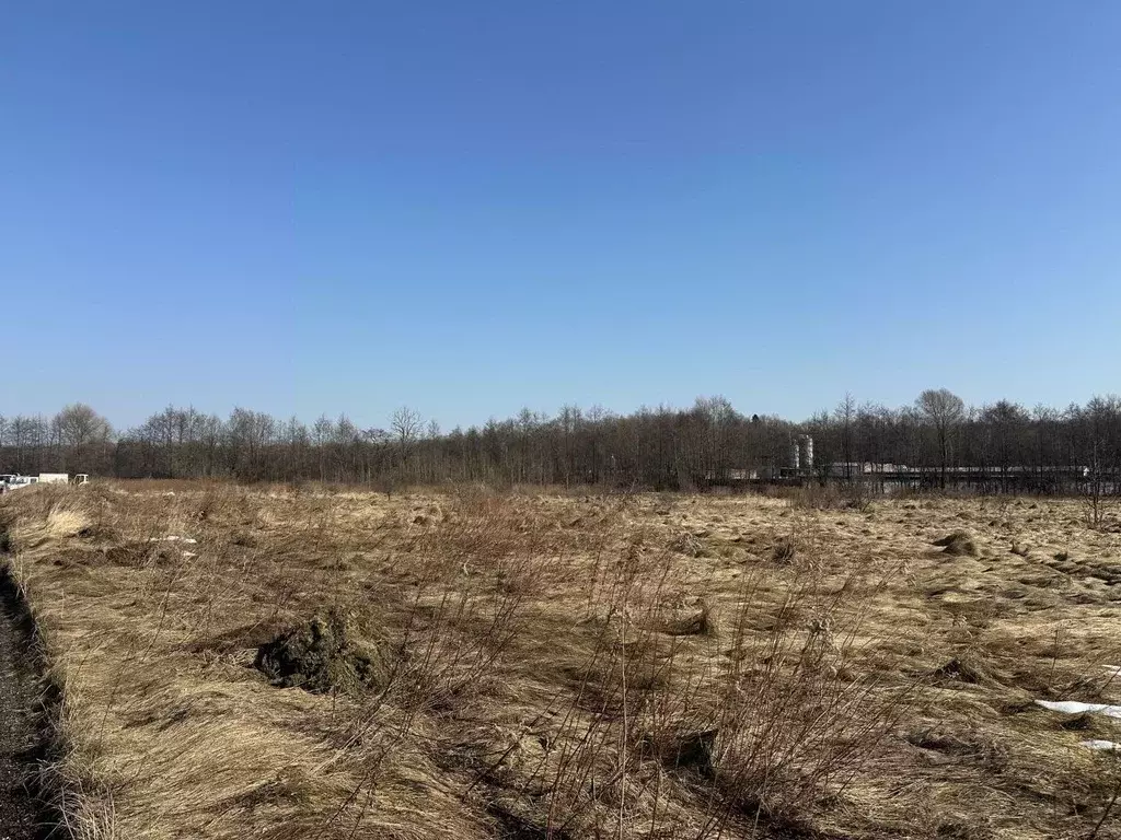 Участок в Калининградская область, Гурьевский муниципальный округ, ... - Фото 2