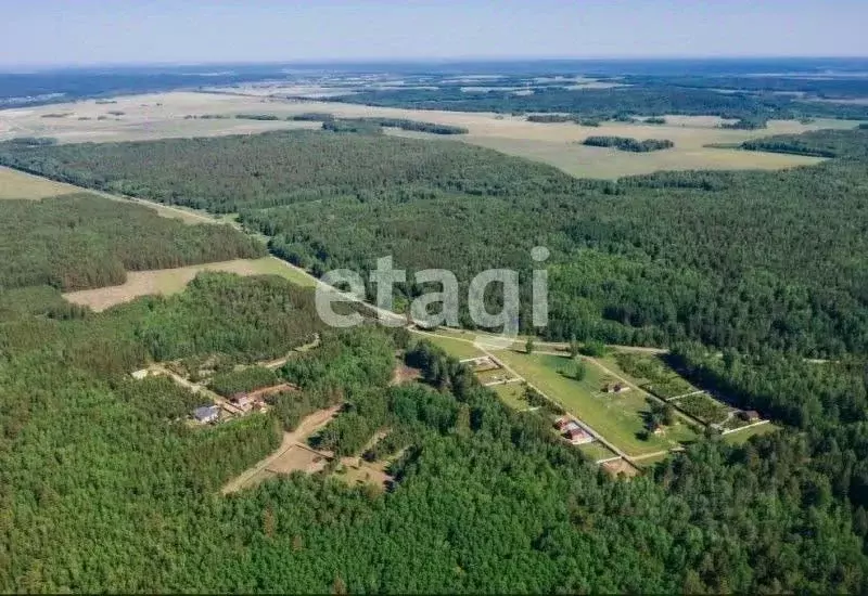 Участок в Красноярский край, Ирбейский район, с. Талое  (450.0 сот.) - Фото 1