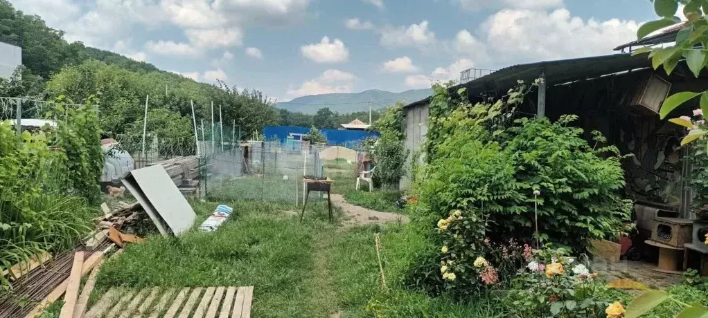 Участок в Краснодарский край, Геленджик городской округ, с. Адербиевка ... - Фото 0