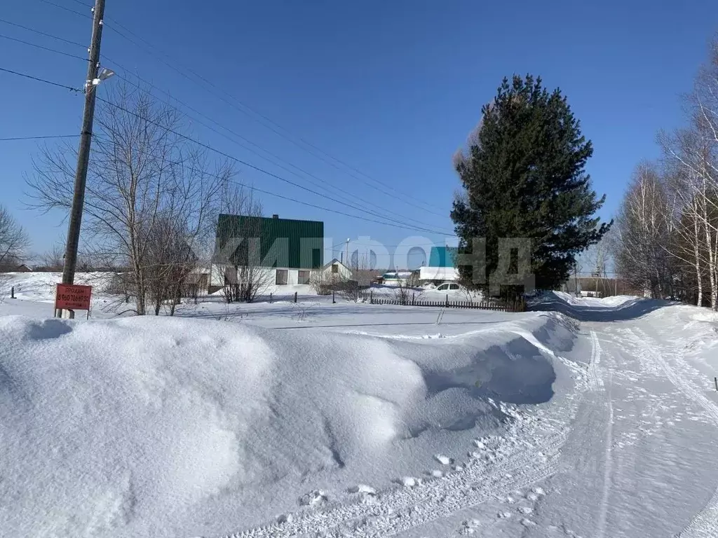Участок в Новосибирская область, Тогучинский район, Репьевский ... - Фото 1