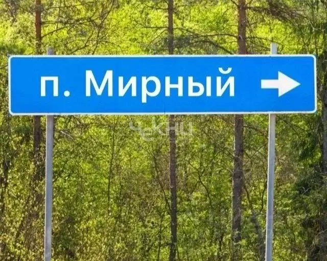 Участок в Нижегородская область, Богородский муниципальный округ, ... - Фото 1