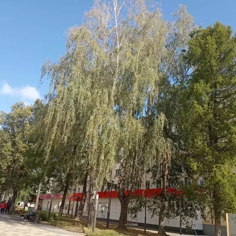 4-к кв. Татарстан, Зеленодольск ул. Гагарина, 2 (60.0 м) - Фото 0