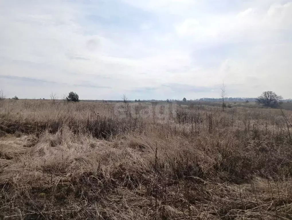 Участок в Курская область, Курский район, Моковский сельсовет, д. ... - Фото 2