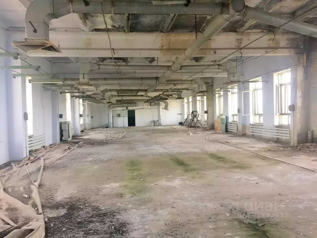 Помещение свободного назначения в Ставропольский край, Новопавловск г. ... - Фото 2