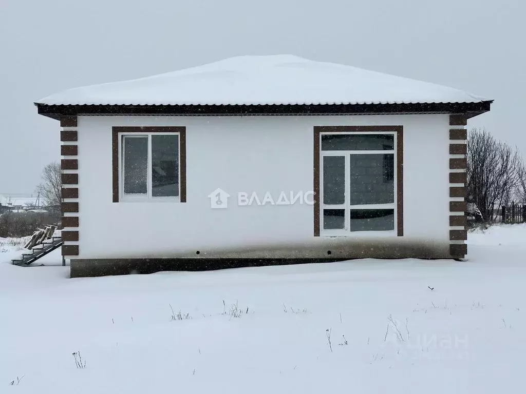 Дом в Пензенская область, с. Бессоновка ул. Фестивальная (83 м) - Фото 1