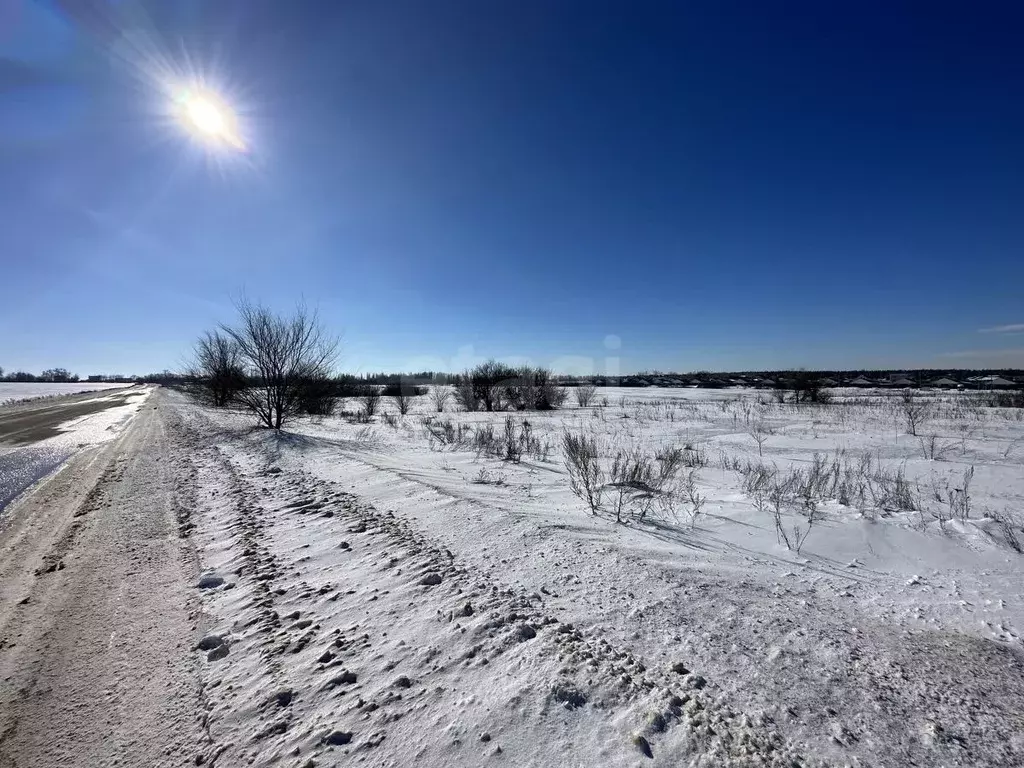 Участок в Воронежская область, Воронеж ул. Старшины Петрова (6.0 сот.) - Фото 2