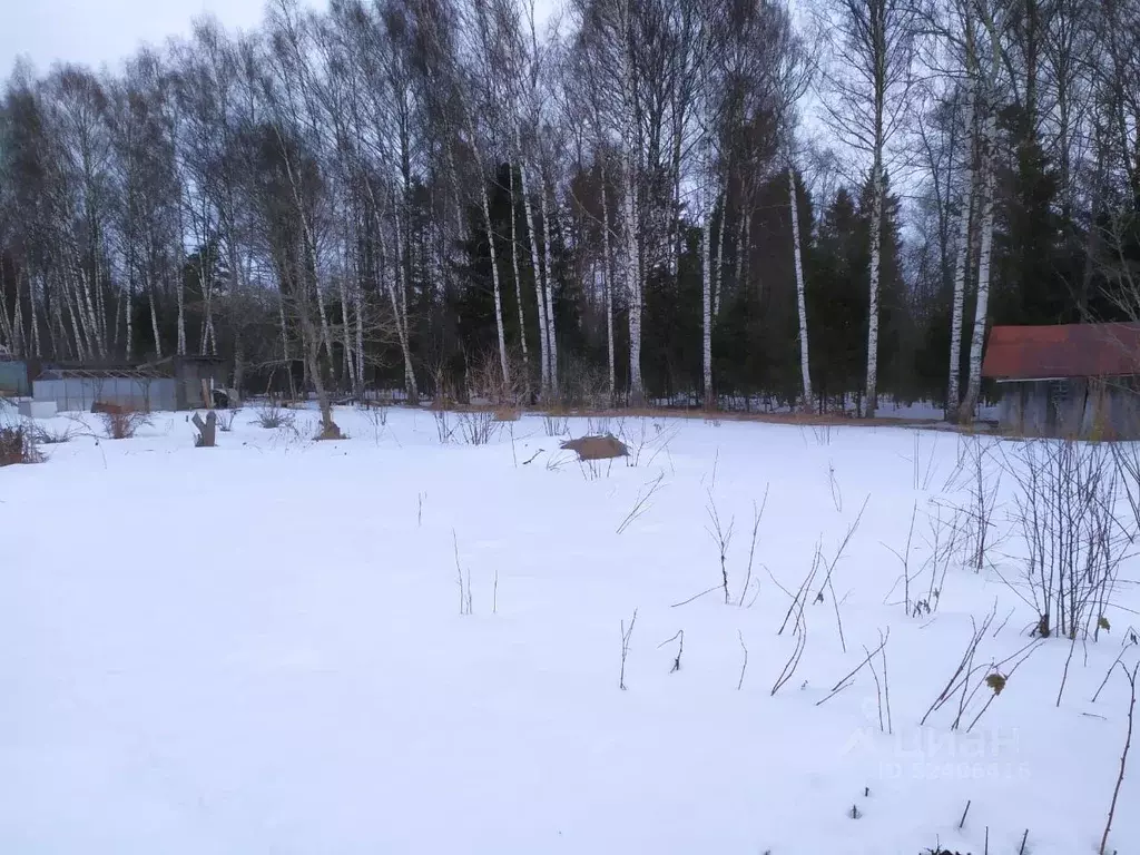 Участок в Владимирская область, Александровский район, Самарино СНТ 92 ... - Фото 1