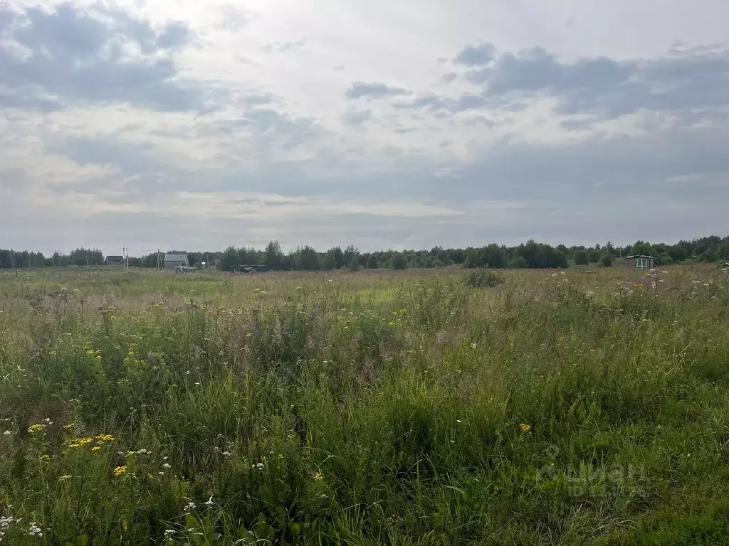 Участок в Владимирская область, Александровский район, Андреевское ... - Фото 1