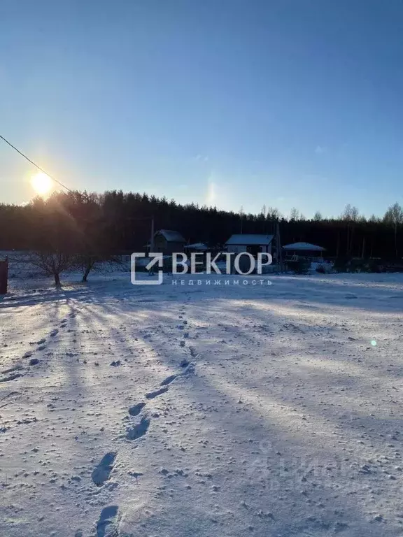 Участок в Костромская область, Кострома Ручеек СНТ, 6А (8.0 сот.) - Фото 2