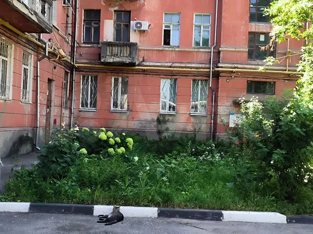 Комната 20 м в 3-к., 1/4 эт. - Фото 0