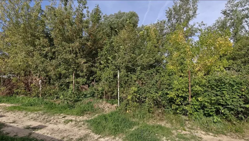 Участок в Московская область, Ленинский городской округ, Молоково пгт ... - Фото 1