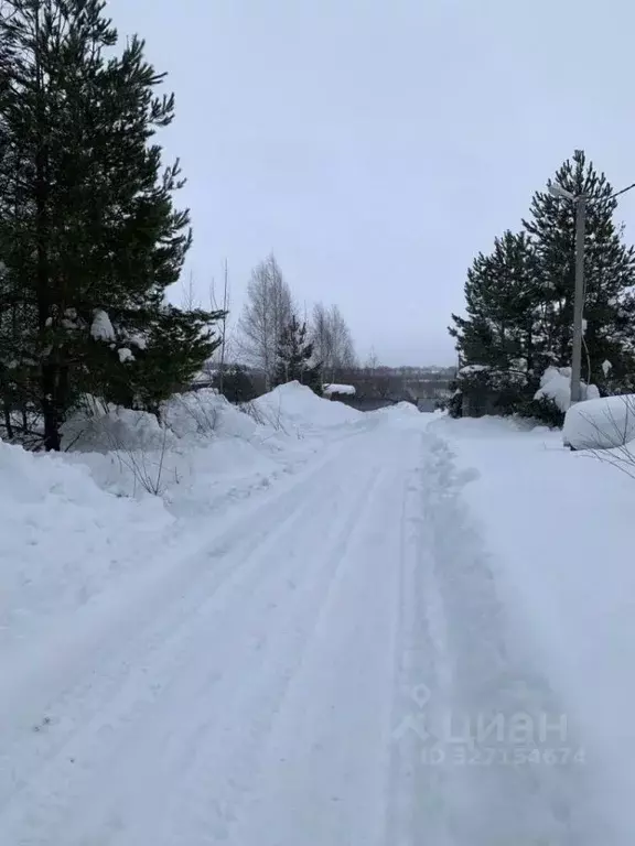 Участок в Нижегородская область, Богородский муниципальный округ, с. ... - Фото 2