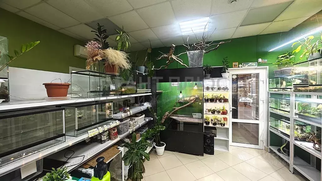 Помещение свободного назначения в Липецкая область, Липецк просп. ... - Фото 1