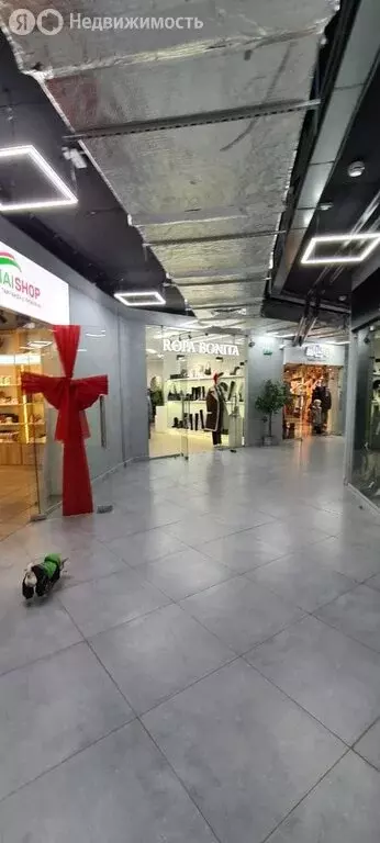 Торговая площадь (85 м) - Фото 1