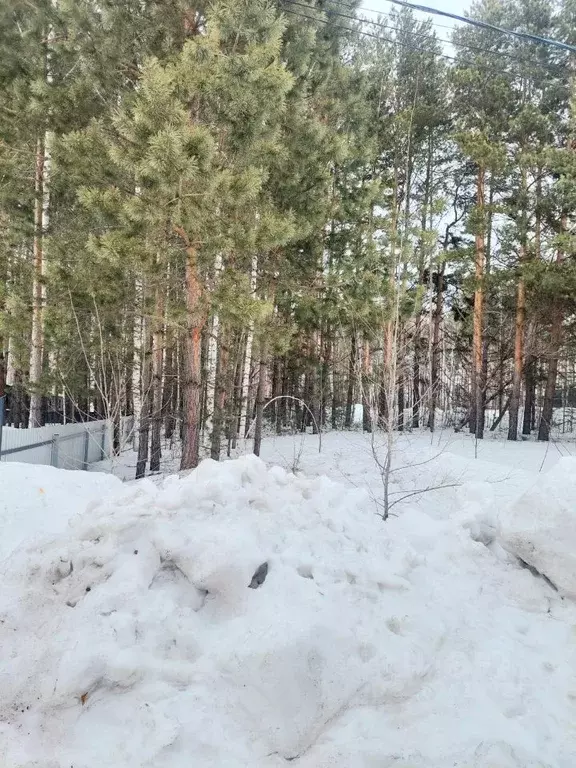 Участок в Новосибирская область, с. Новолуговое ул. Амурская (10.0 ... - Фото 1