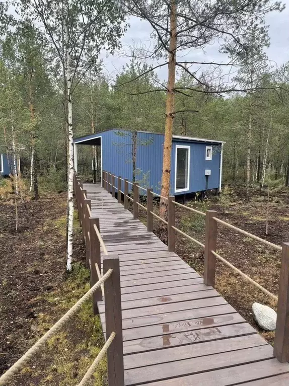 Дом в Ленинградская область, Всеволожское городское поселение  (36 м) - Фото 1